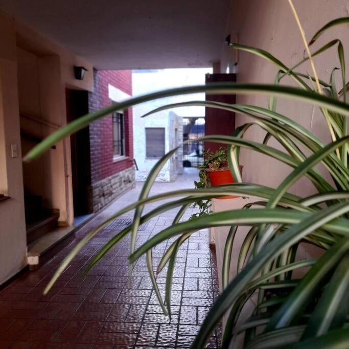 ¨Las Mayolicas¨ Hermoso Depto Con Patio Espanol メンドーサ エクステリア 写真