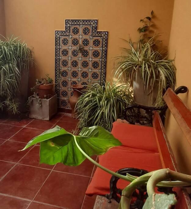 ¨Las Mayolicas¨ Hermoso Depto Con Patio Espanol メンドーサ エクステリア 写真